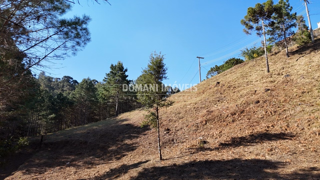 Plot of 1,150 m² in Campos do Jordão, SP, Brazil