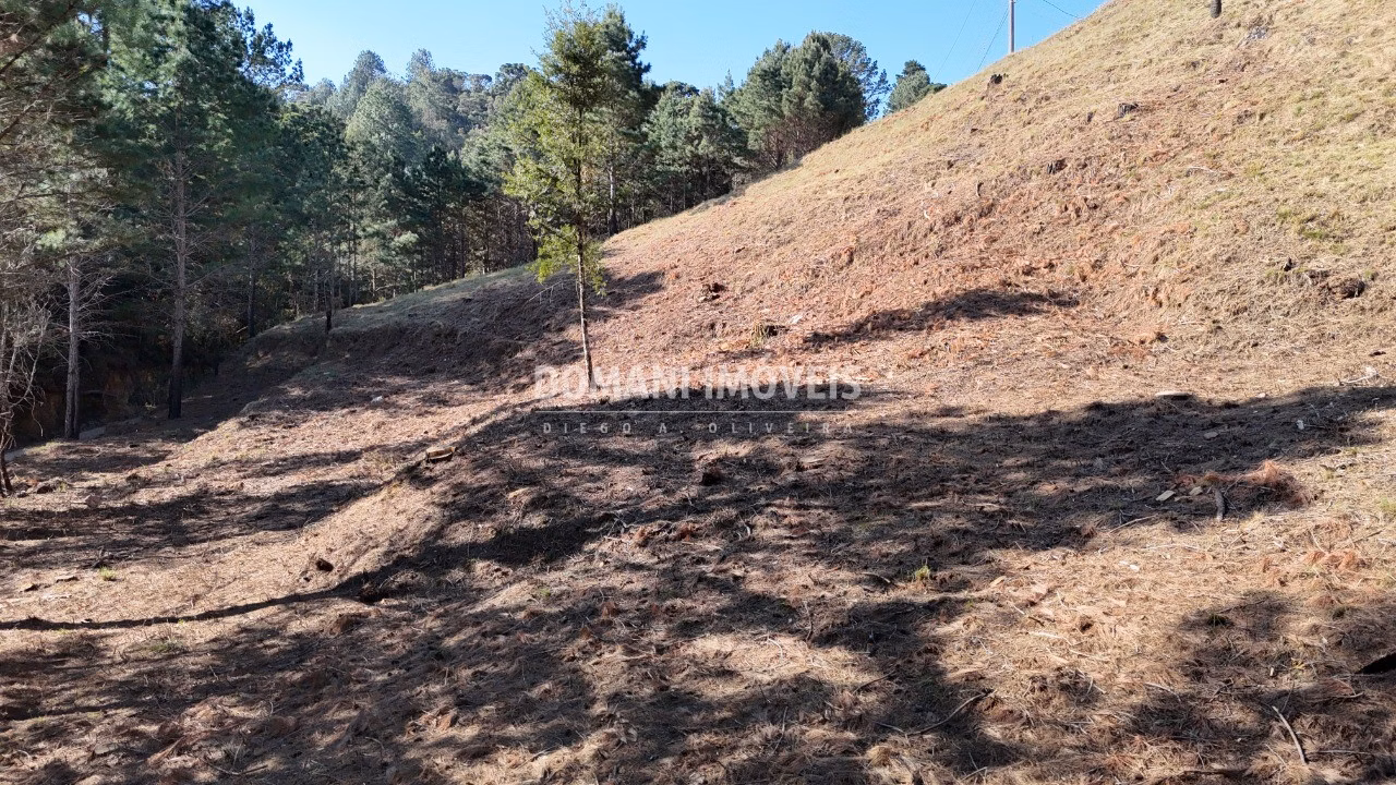 Plot of 1,150 m² in Campos do Jordão, SP, Brazil