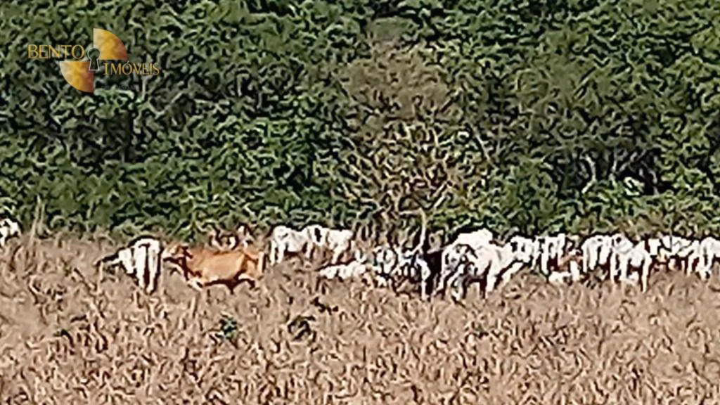 Fazenda de 5.400 ha em Planalto da Serra, MT