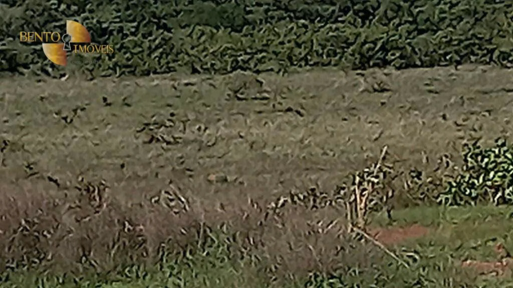 Fazenda de 5.400 ha em Planalto da Serra, MT