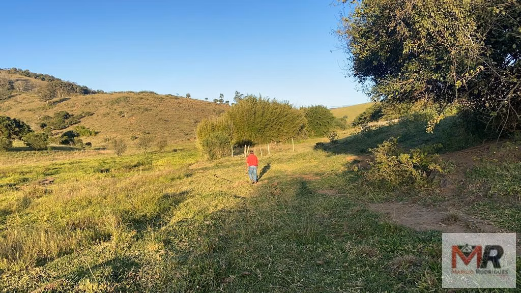 Terreno de 34 ha em Estiva, MG