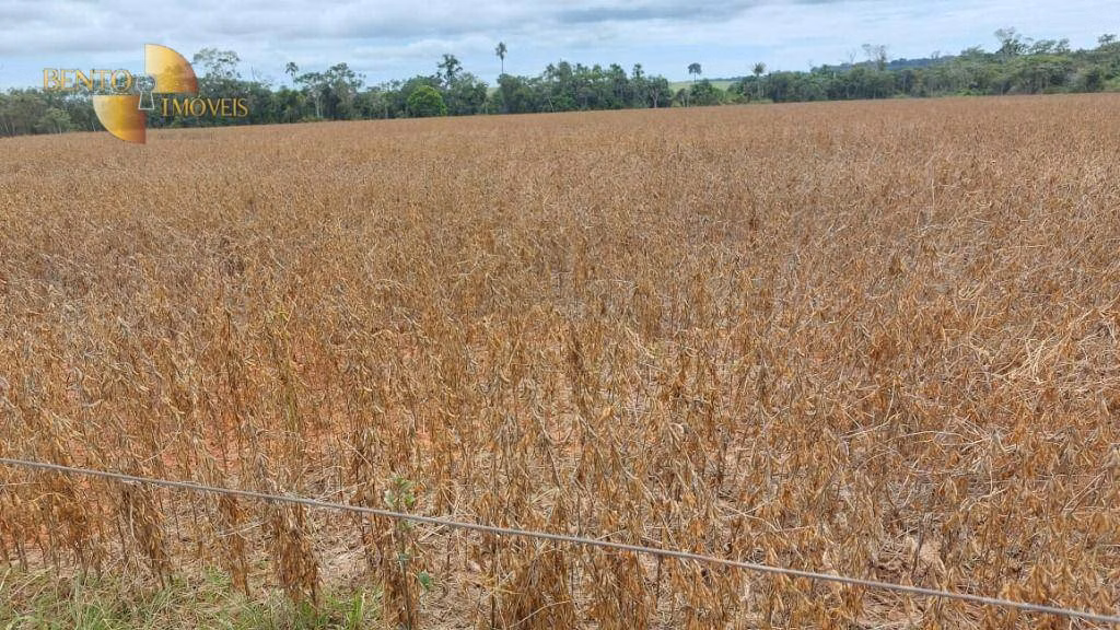 Farm of 4,658 acres in Juína, MT, Brazil