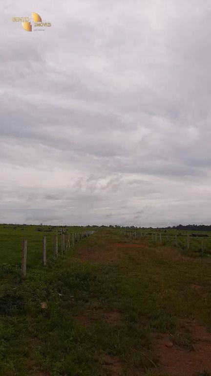 Farm of 4,658 acres in Juína, MT, Brazil