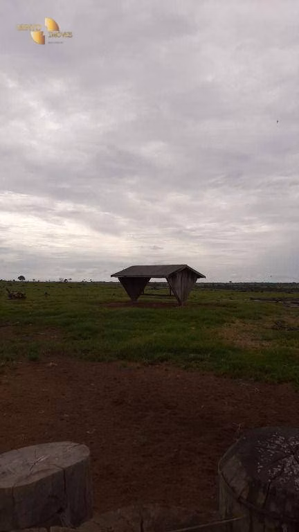 Fazenda de 1.885 ha em Juína, MT