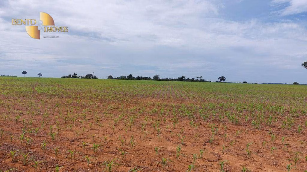 Farm of 4,658 acres in Juína, MT, Brazil