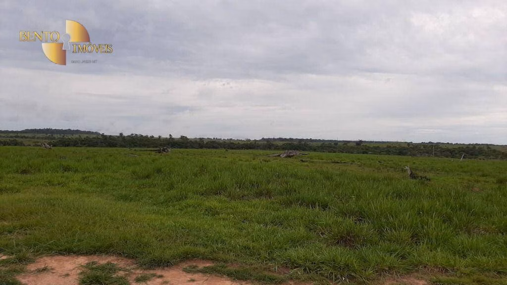 Fazenda de 1.885 ha em Juína, MT