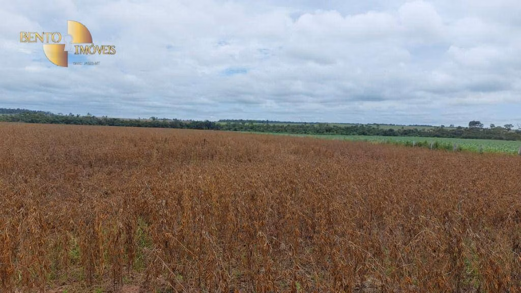 Farm of 4,658 acres in Juína, MT, Brazil