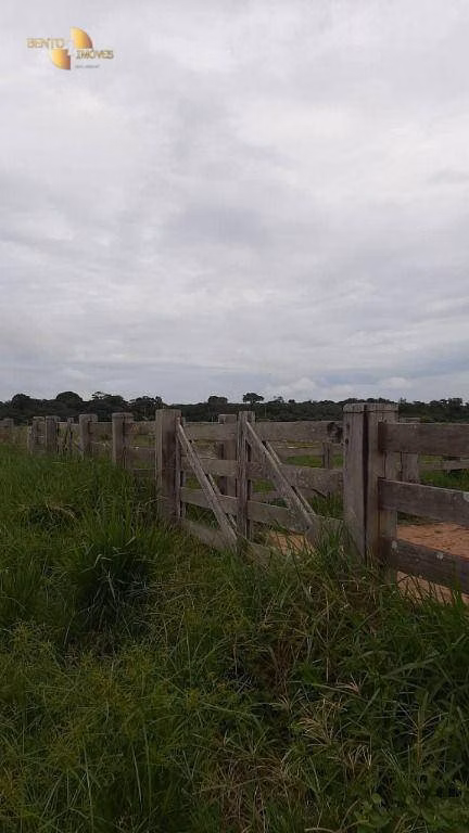 Fazenda de 1.885 ha em Juína, MT