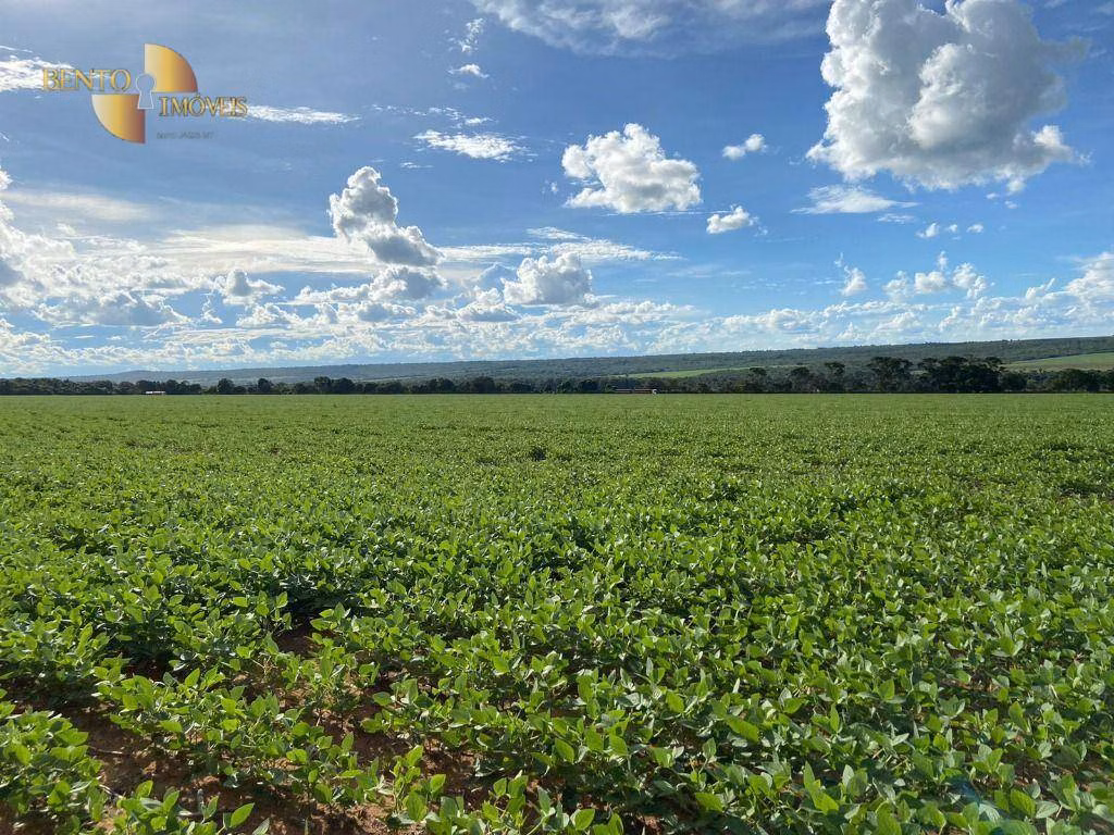 Farm of 4,658 acres in Juína, MT, Brazil