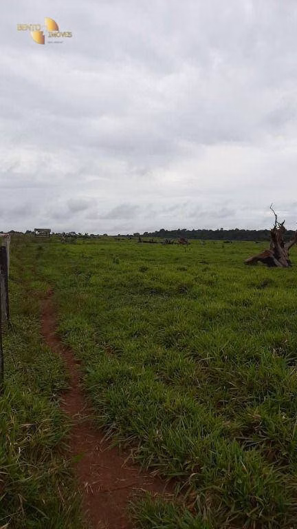 Farm of 4,658 acres in Juína, MT, Brazil