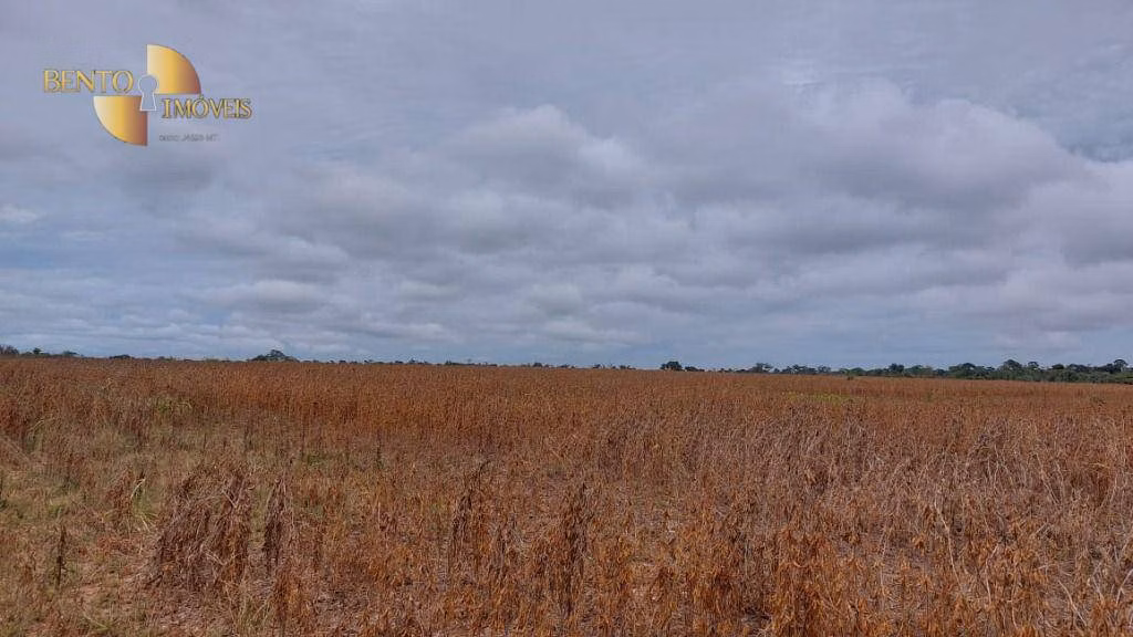 Farm of 4,658 acres in Juína, MT, Brazil