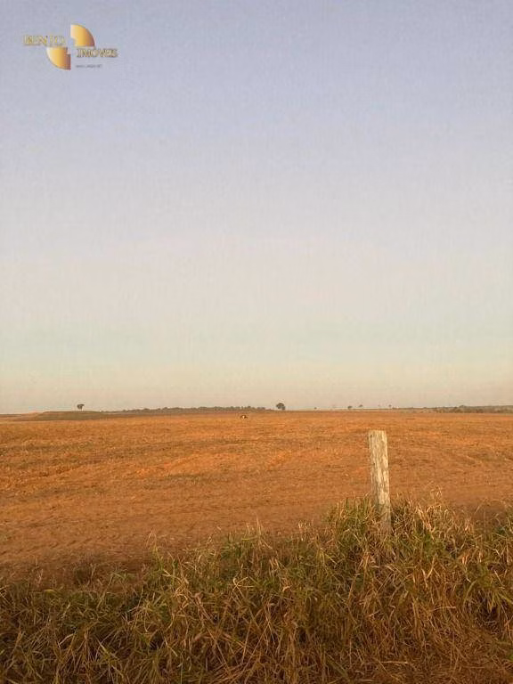 Fazenda de 1.885 ha em Juína, MT