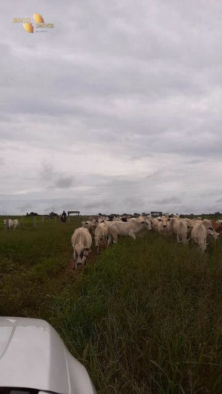 Farm of 4,658 acres in Juína, MT, Brazil
