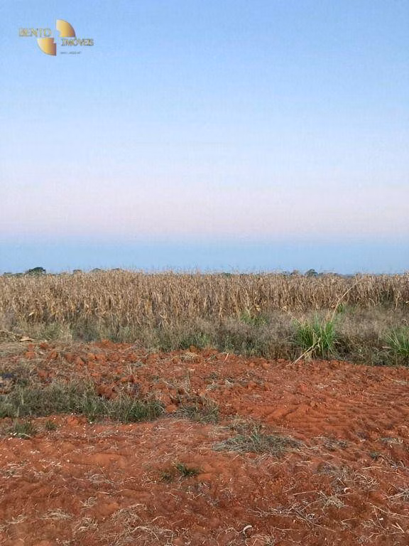 Farm of 4,658 acres in Juína, MT, Brazil