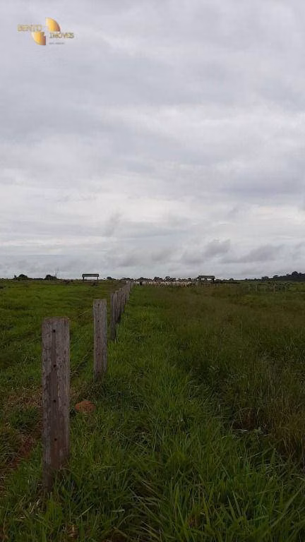 Farm of 4,658 acres in Juína, MT, Brazil