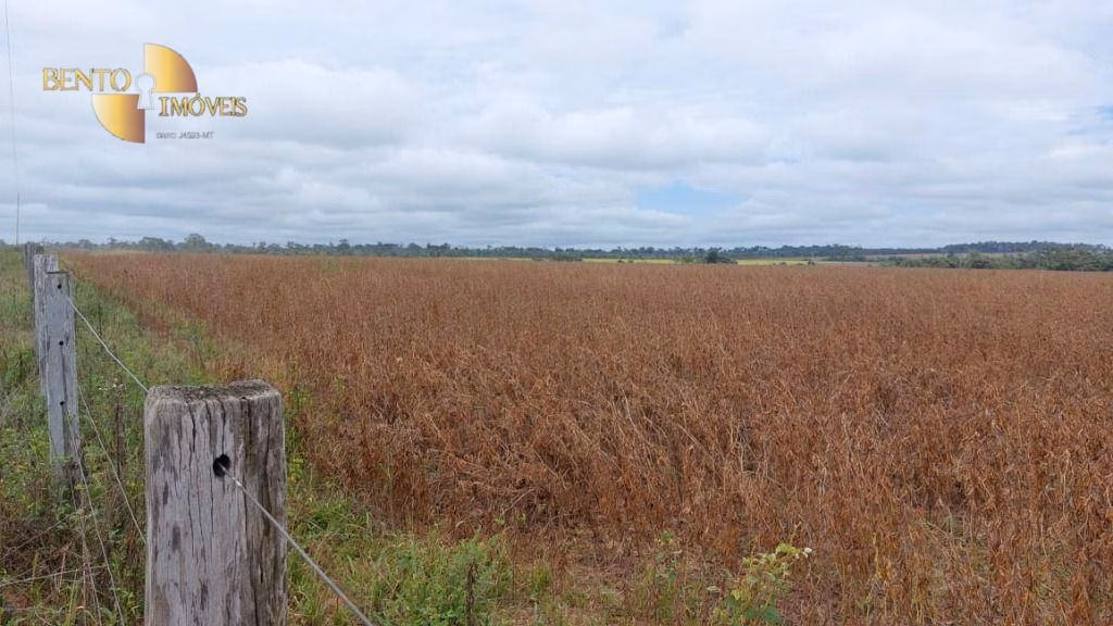 Farm of 4,658 acres in Juína, MT, Brazil