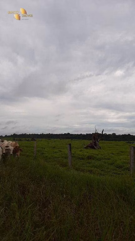 Farm of 4,658 acres in Juína, MT, Brazil