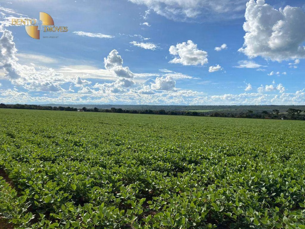 Farm of 4,658 acres in Juína, MT, Brazil