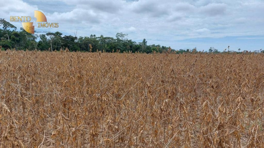 Fazenda de 1.885 ha em Juína, MT
