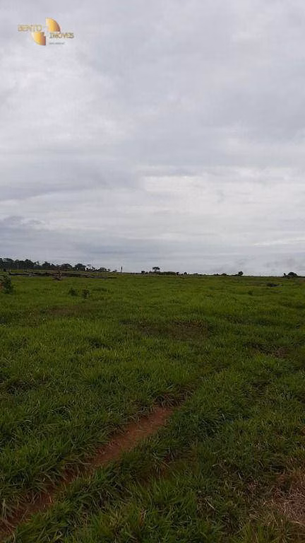 Farm of 4,658 acres in Juína, MT, Brazil