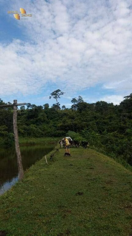 Fazenda de 1.667 ha em Poconé, MT