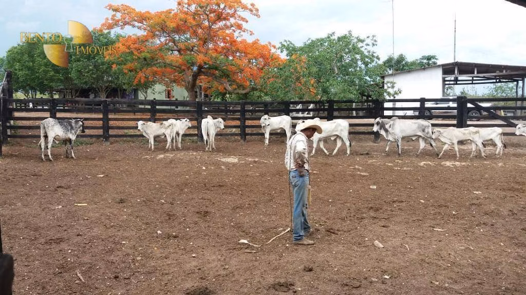 Fazenda de 1.667 ha em Poconé, MT