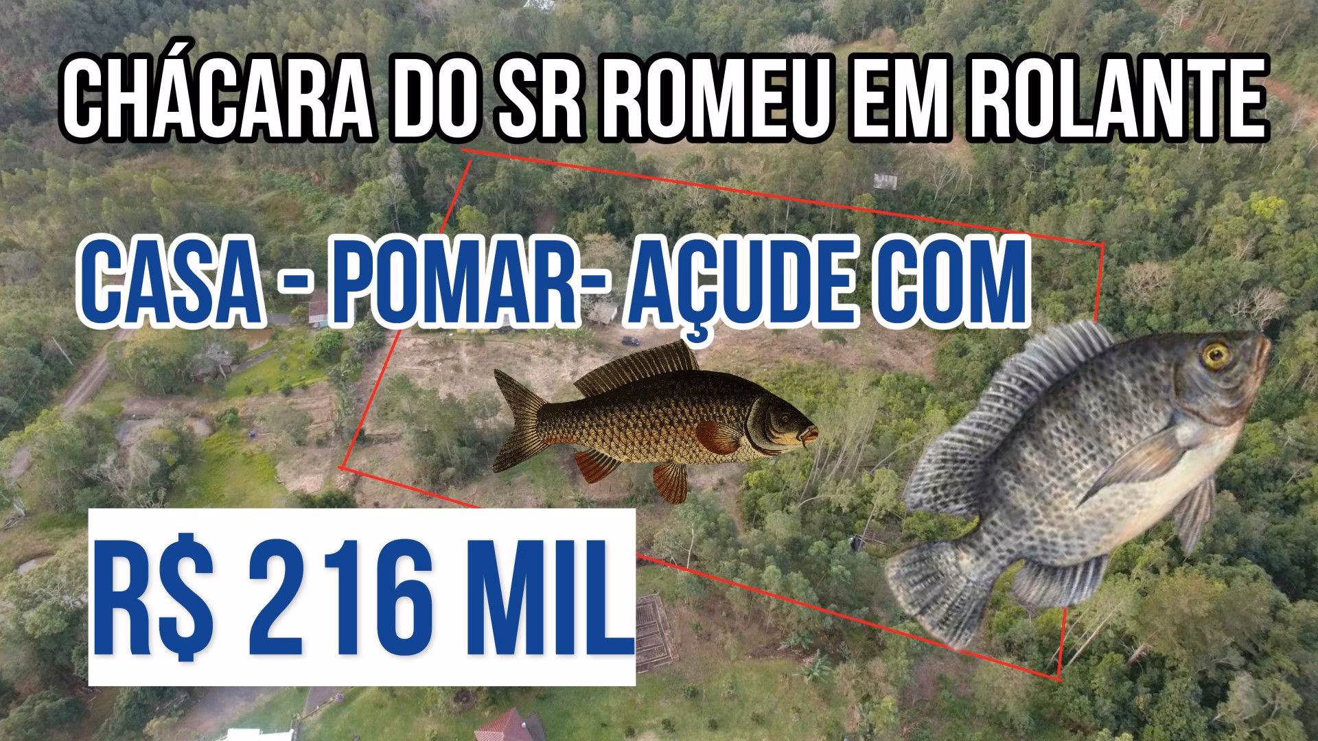 Chácara de 1 ha em Rolante, RS