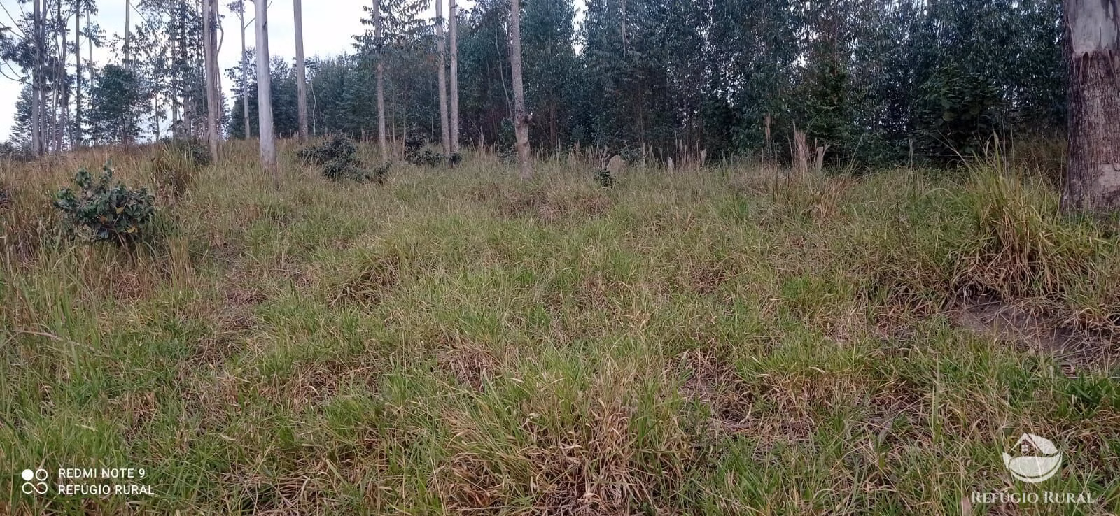 Plot of 12 acres in São José dos Campos, SP, Brazil