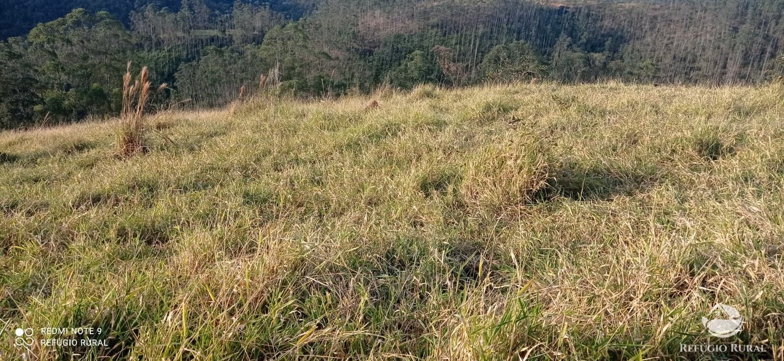 Plot of 12 acres in São José dos Campos, SP, Brazil
