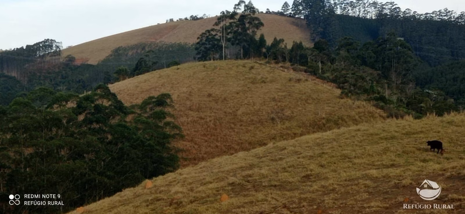 Plot of 12 acres in São José dos Campos, SP, Brazil