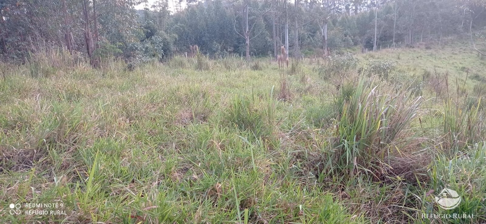 Terreno de 5 ha em São José dos Campos, SP