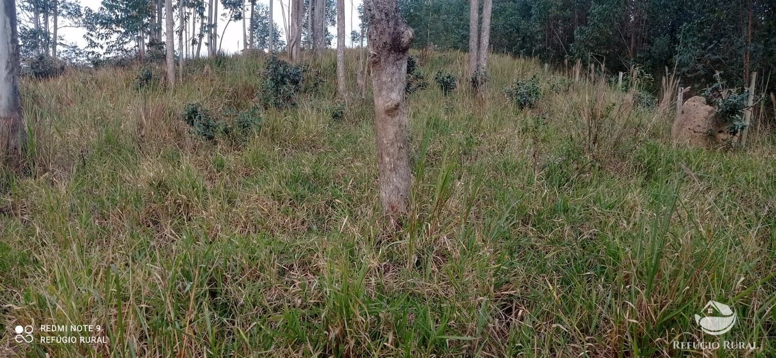 Plot of 12 acres in São José dos Campos, SP, Brazil