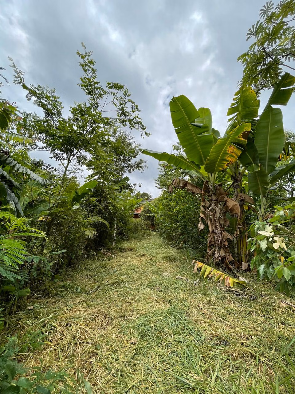 Small farm of 7 acres in Campo Limpo Paulista, SP, Brazil