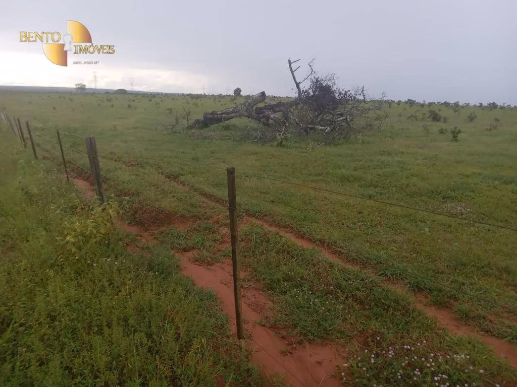 Fazenda de 4.650 ha em Primavera do Leste, MT