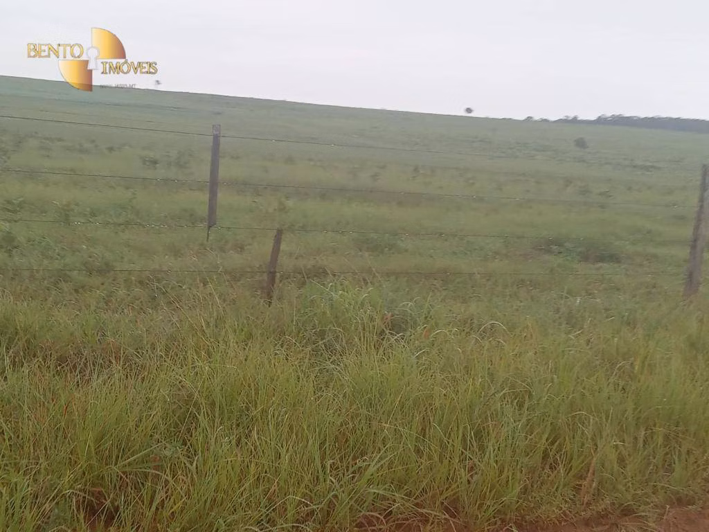 Fazenda de 4.650 ha em Primavera do Leste, MT
