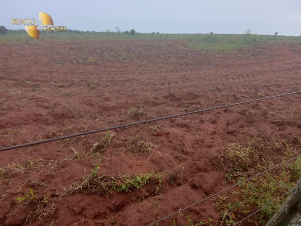 Fazenda de 4.650 ha em Primavera do Leste, MT