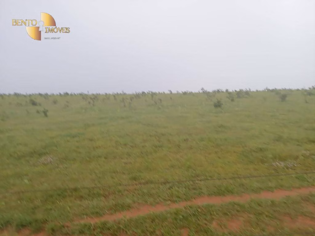 Fazenda de 4.650 ha em Primavera do Leste, MT