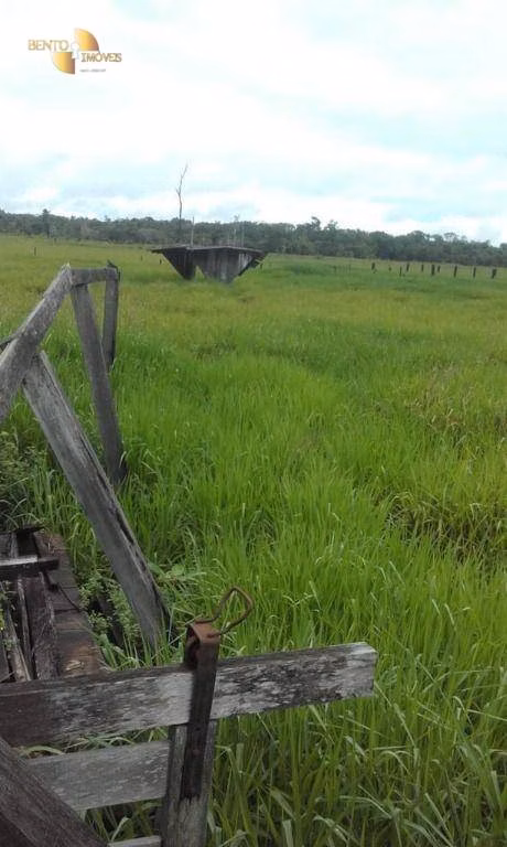 Fazenda de 12.339 ha em Brasnorte, MT