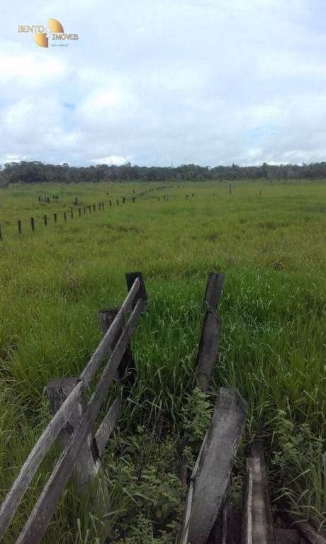 Fazenda de 12.339 ha em Brasnorte, MT