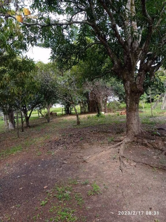 Farm of 284 acres in Rosário Oeste, MT, Brazil