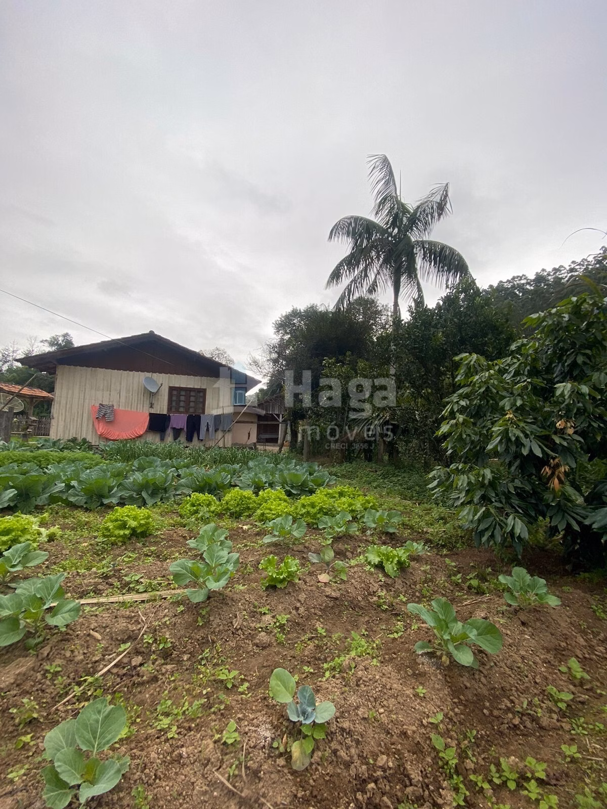 Farm of 700 m² in Tijucas, SC, Brazil
