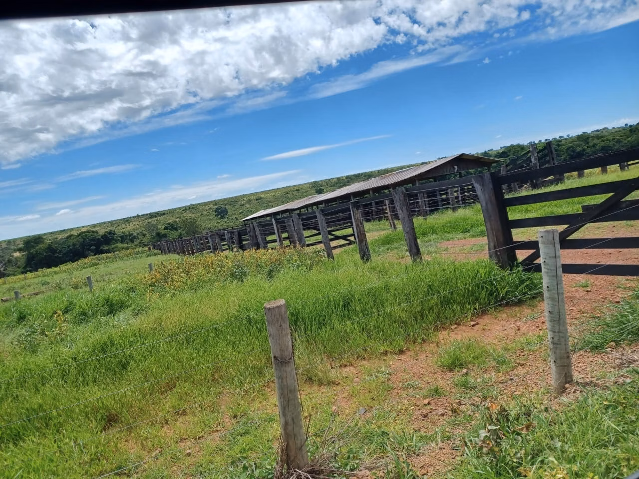 Fazenda de 2.208 ha em Canarana, MT