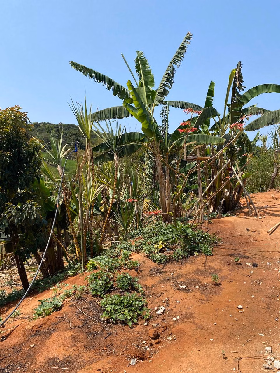Chácara de 1.340 m² em Lagoinha, SP