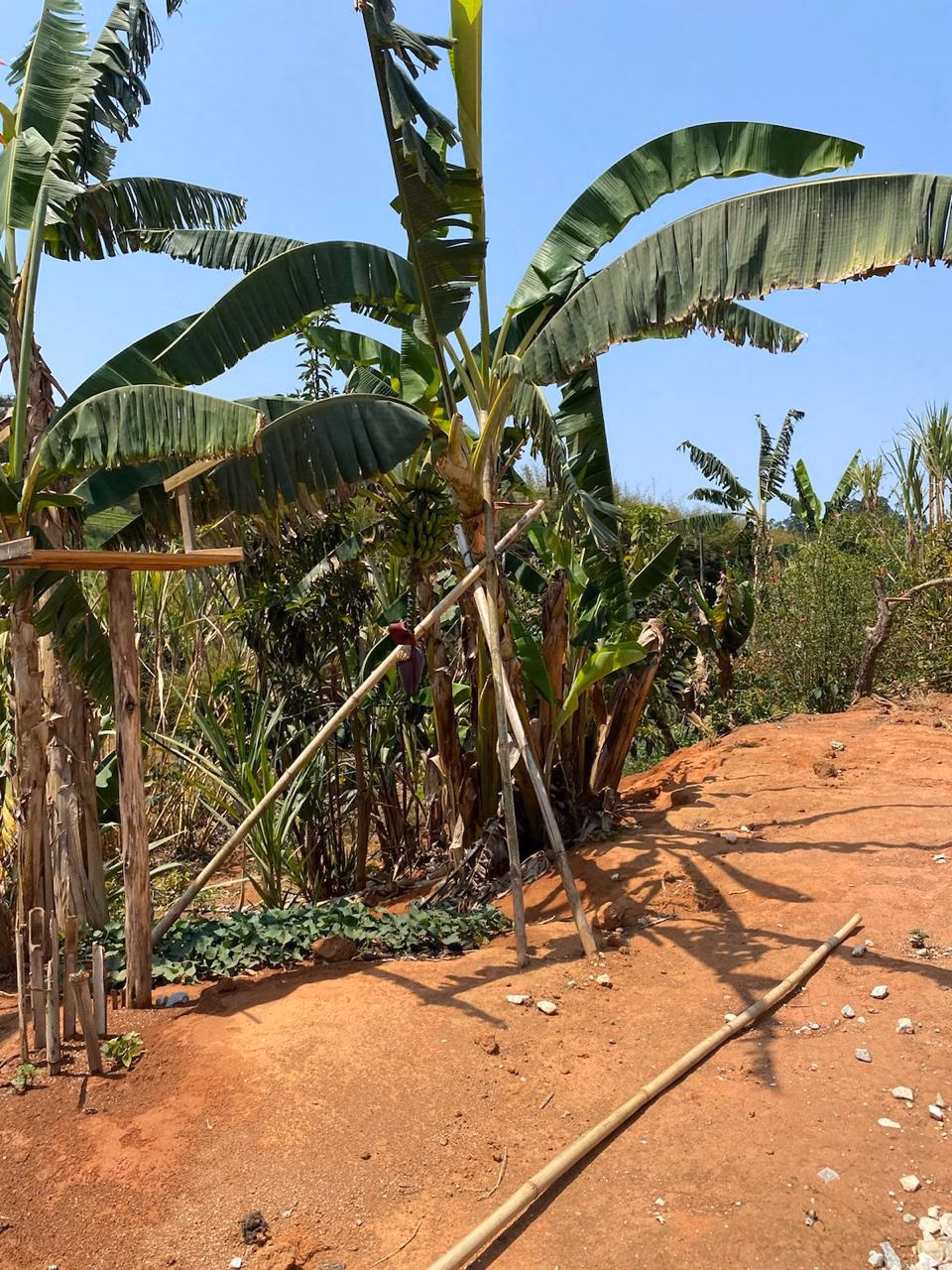 Chácara de 1.340 m² em Lagoinha, SP