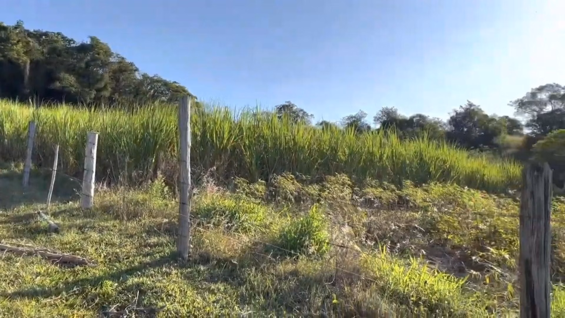 Chácara de 2 ha em Santo Antônio da Patrulha, RS
