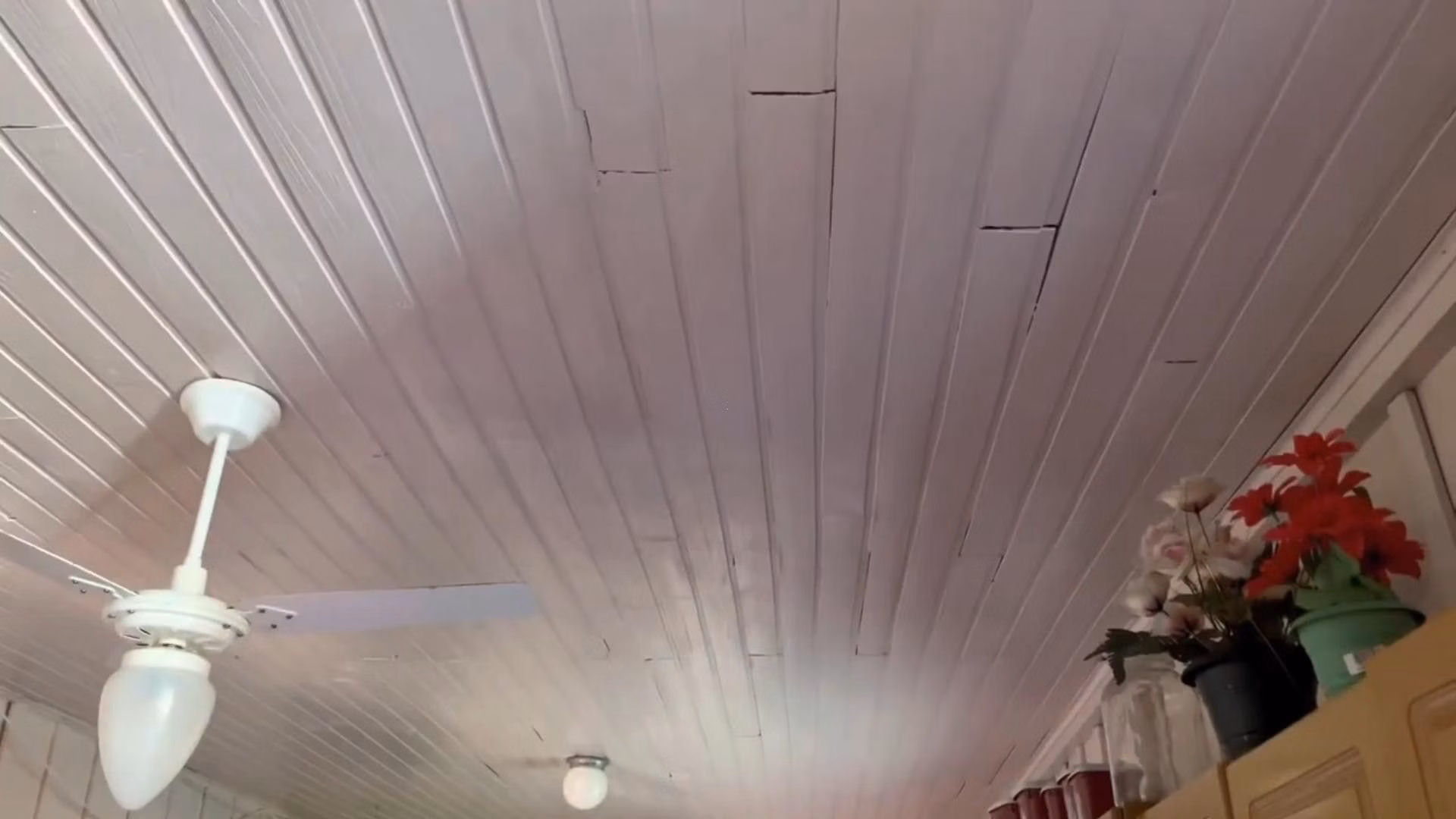 Chácara de 2 ha em Santo Antônio da Patrulha, RS