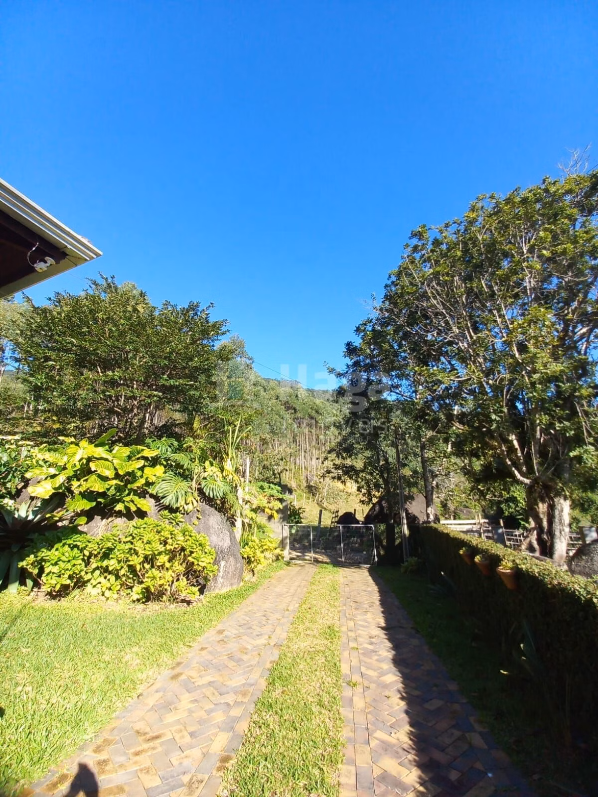 Farm of 1 acres in Canelinha, SC, Brazil