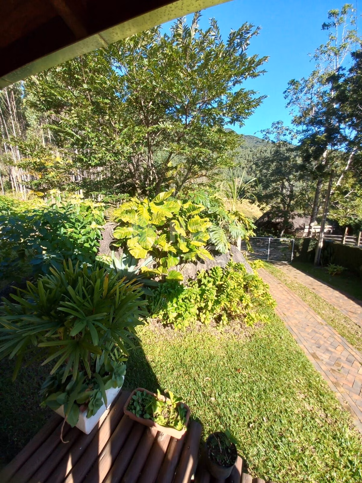 Farm of 1 acres in Canelinha, SC, Brazil