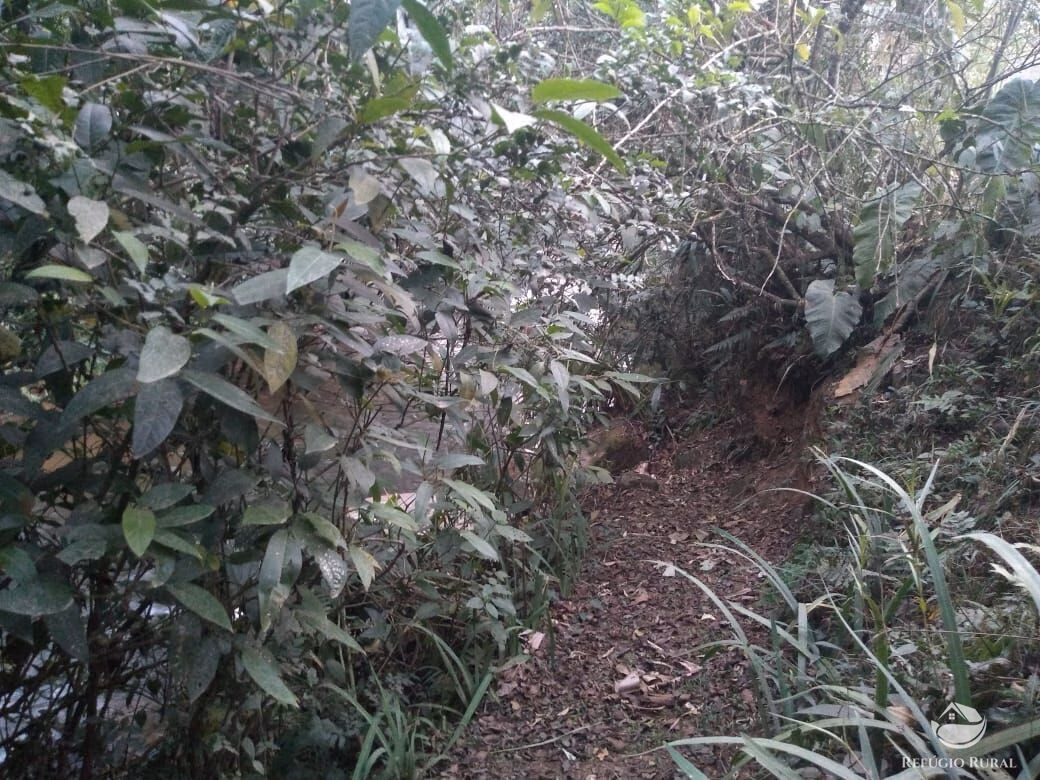Chácara de 1.500 m² em São José dos Campos, SP