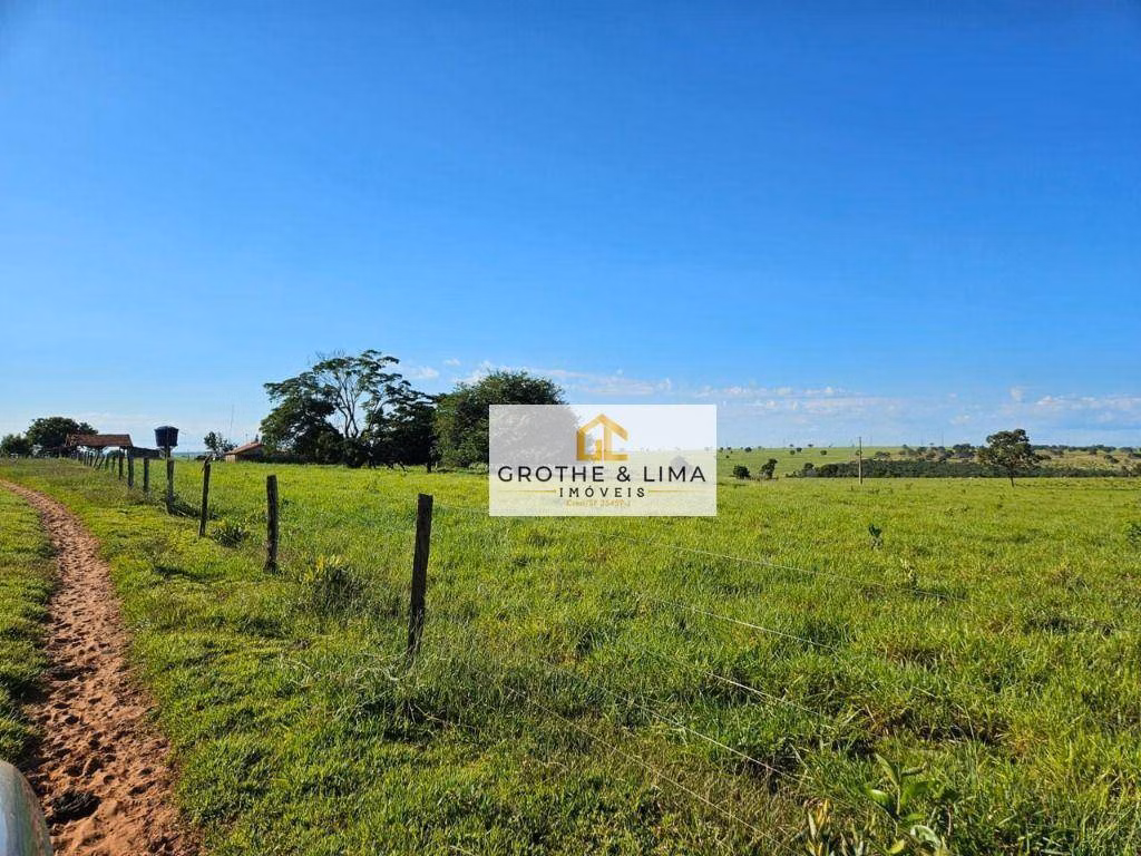Fazenda de 1.437 ha em Ribas do Rio Pardo, MS